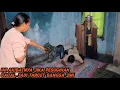 Download Lagu GAGAL PESUGIHAN, ORANG INI JADI BURUAN BANGSA JIN!