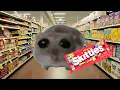 Skittles meme Sad Hamster