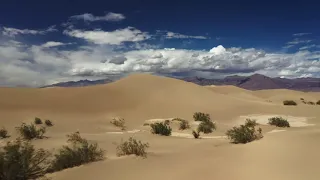 Download Desert Wind Sounds Blowing Across Sand Dunes - 4K Nature Soundscapes MP3