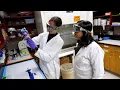 Experience research at UW-Eau Claire