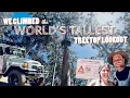 We climbed the TALLEST treetop lookout in the WORLD - South West WA