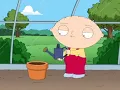 Family Guy - Stewie Griffin, Everything I Do I Do It For You
