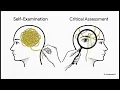 Transformative Learning Theory J Mezirow 1997 10 steps