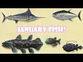 All The Fish You Can Catch In JANUARY In Animal Crossing New Horizons Northern Hemisphere