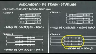 Mecanismo de Frank Starling