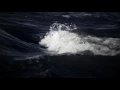 La Vague, The Wave, La Ola, Die Welle