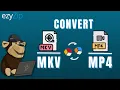 Convert MKV to MP4 Online Easy Guide
