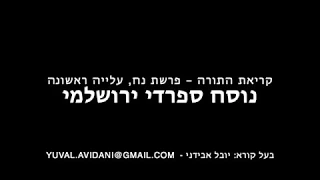 קריאת התורה פרשת נח יובל אבידני ספרדי ירושלמי Torah Reading Yuval Avidani Noah 