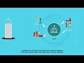 Guiding Principles on Business and Human Rights UNGPs