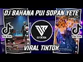 Download Lagu DJ BAHANA PUI BY SOPAN YETE VIRAL TIKTOK 2022