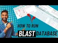 How to Use BLAST NCBI Sequence Alignment Made Easy