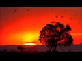 Download Lagu DJ Merlon Feat. Black Motion \u0026 Mondli Ngcobo - Tale Of The Monkeys