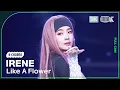 Download Lagu [K-Choreo 8K] 아이린 직캠 'Like A Flower' (IRENE Choreography) @MusicBank 241206