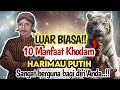 Download Lagu LUAR BIASA MANFAATNYA‼️10 PENGARUH KHODAM HARIMAU PUTIH YANG ADA PADA DIRI ANDA \u0026 PENGARUH ENERGINYA