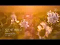 Download Lagu 공부할 때 듣기 좋은 메이플스토리 명곡 BGM 23선 피아노 모음 Maplestory BGM 23 song Piano Compilation (+패스파인더 Pathfinder 추가)