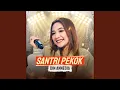 Download Lagu Santri Pekok