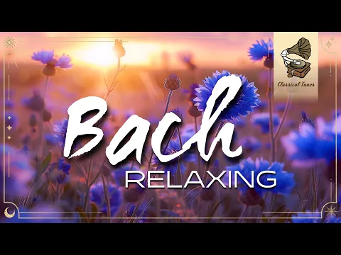 The Best Relaxing Classical Music Ever By Bach - Relaxation Meditation Focus Reading