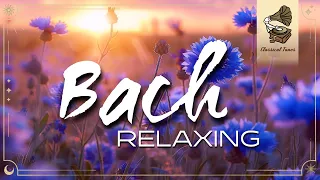 The Best Relaxing Classical Music Ever By Bach - Relaxation Meditation Focus Reading