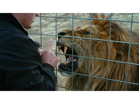 Tizza Covi & Rainer Frimmel MISTER UNIVERSO - international Trailer with english subtitles