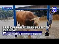Download Lagu Sapi Kurban Pilihan Presiden Prabowo | SIS | Rabu, 28 Mei 2025