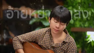 อ้ายหย่างมาส่ง - เต๊ะ ตระกูลตอ [ อคูสติกไกด์เพลง ]