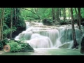 Tranquility - Time Solitaire Music United with Nature
