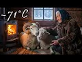 Lagu She Saved Two Mountain Goats. Then Came a Quiet Winter Until They Recovered and Left | Yakutia –71°C