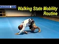 Download Lagu Walking State Mobility Routine by Alberto Gallazzi