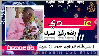 جديد الفنان ادم الطيب عندي ولضم رقيق السليك 