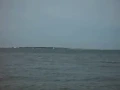 Fred Neil's Dolphins