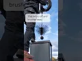 The chimney cleaning brush