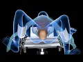 Download Lagu Normal vaginal childbirth