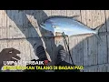 Download Lagu UMPAN TERBAIK‼️ Mancing Ikan Talang Talang Di Bagan PAO Pertamina || Mancing Gaes