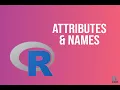 Bioinformatics Attributes and Names Python BioCode Ltd