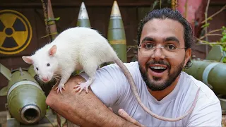 The Superhero Rats that Defuse Bombs