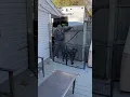 Dog walking pee pee dance