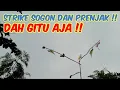Download Lagu Suara Pikat Sogon Kejepit Kombinasi Prenjak Ribut Terancam