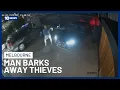Download Lagu Man Scares Off Would-Be Thieves By Barking At Them | 10 News
