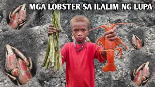 MGA RED LOBSTER SA ILALIM NG LUPA GAMIT ANG LATAS NG KAHOY