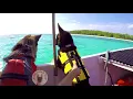 The Island Dog: Marla as Moana (Full Version)