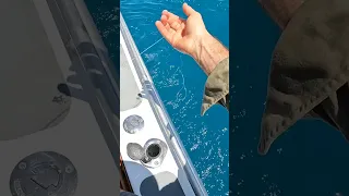 Catching My Dream Fish on Handline 🐟