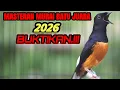 Lagu MASTERAN MURAI BATU TEMBAKAN TERBAIK SEPANJANG HARI FULL ISIAN MEWAH