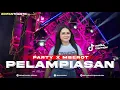 Download Lagu DJ PELAMPIASAN || PARTY X MBEROT DJ VIRAL TIKTOK TERBARU YANG KALIAN CARI