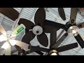 Patriot Lighting Florida Breeze 52 Ceiling Fan at Menards
