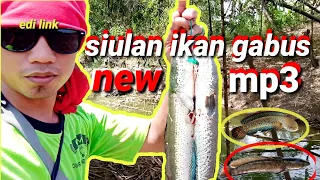 siulan pemanggil ikan gabus mp3