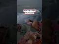 Alexa play sleep sounds waves Collab