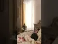 Download Lagu Kućno vaspitanje za posetu