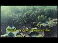 Nik Kershaw - Wouldn't It Be Good - Lyrics Video