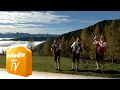 Download Lagu Filzmooser Tanzlmusi - Mir san vom Wald dahoam (Offizielles Musikvideo)