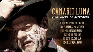 Canario Luna - Esta Noche de Recuerdos